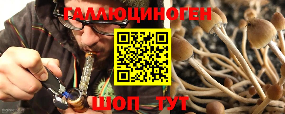 Зеленогорск  Псилоцибиновые грибы прущие грибы  Вход с VPN 